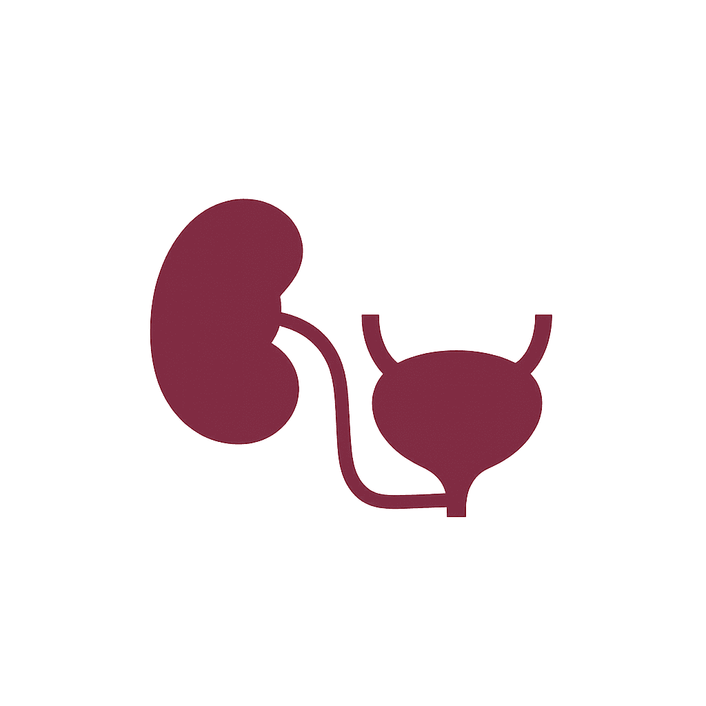 Kidney & Urinary Bladder Sonography Kidney & Urinary Bladder Sonography